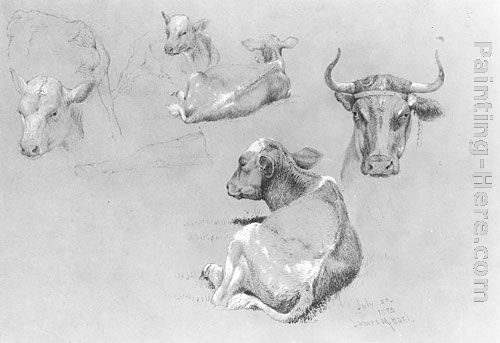 Studies of Cows and Calves painting - James McDougal Hart Studies of Cows and Calves art painting